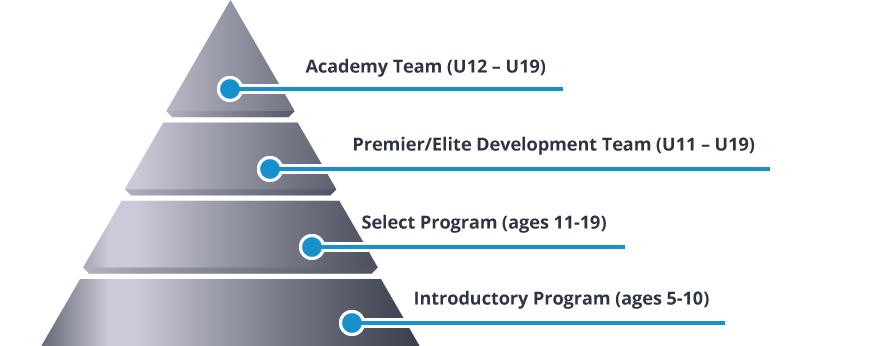 Soccer Agility Ladder